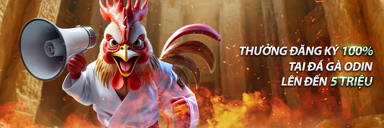 Sân vận động bóng đá với khán giả hò reo và màn hình hiển thị tỷ lệ cược thể thao nk888 win