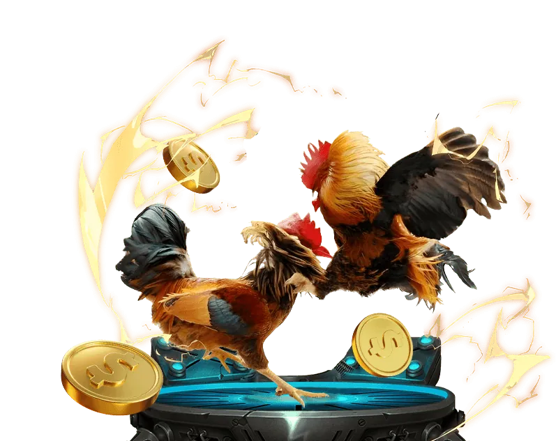 Cá cược đa dạng tại NK888 Win